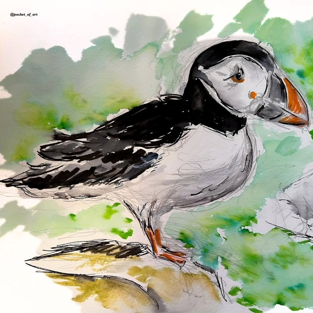 Teddy with Puffin T-Shirt