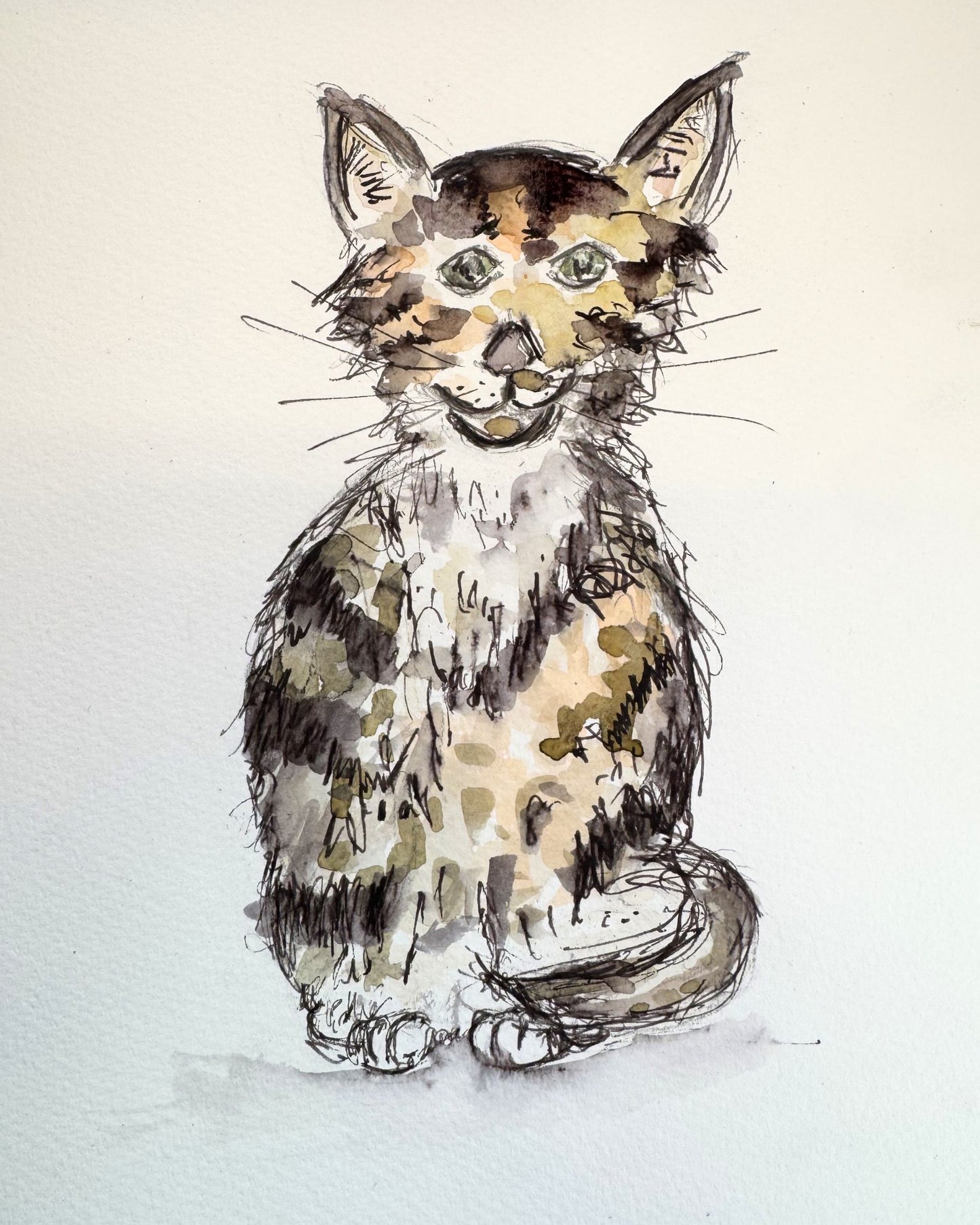 Tabby Cat