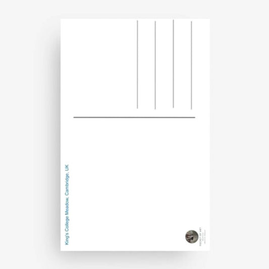 King's College Portrait Postcard