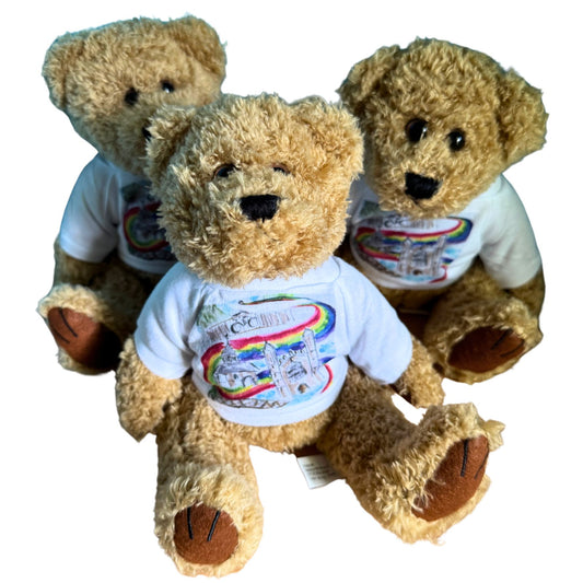 Teddy with Rainbow T-Shirt