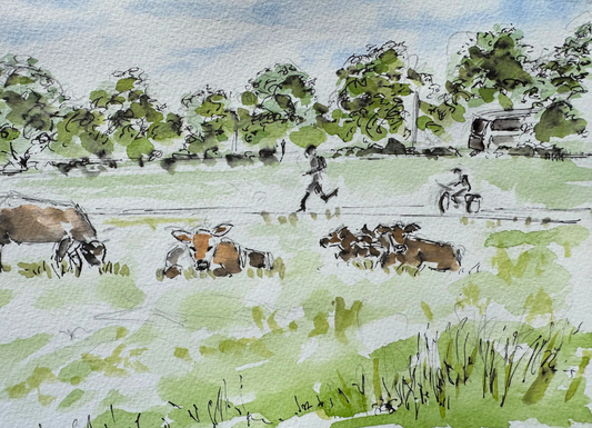 Midsummer Common, Cambridge