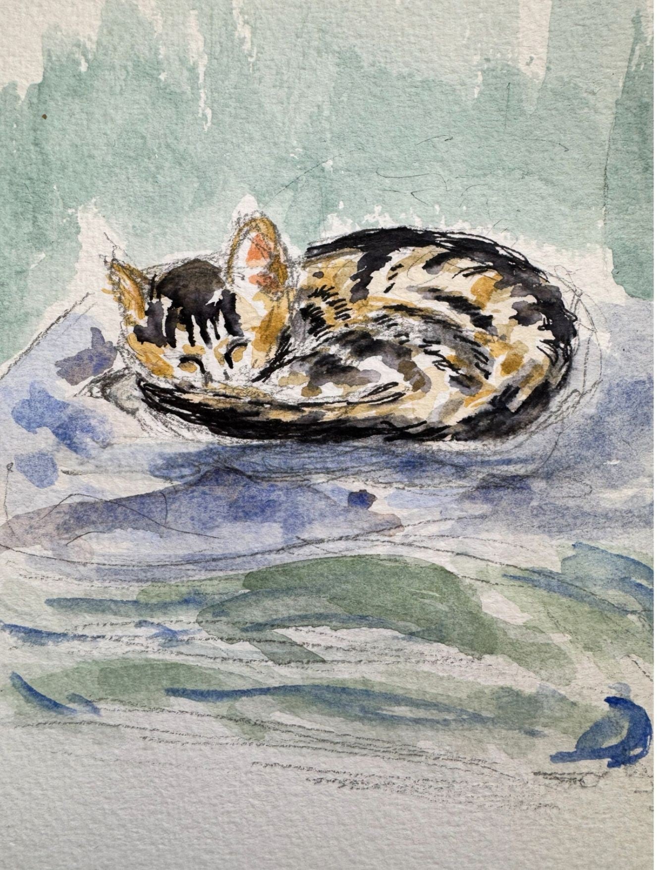 Curled up Cat Pocket of Art