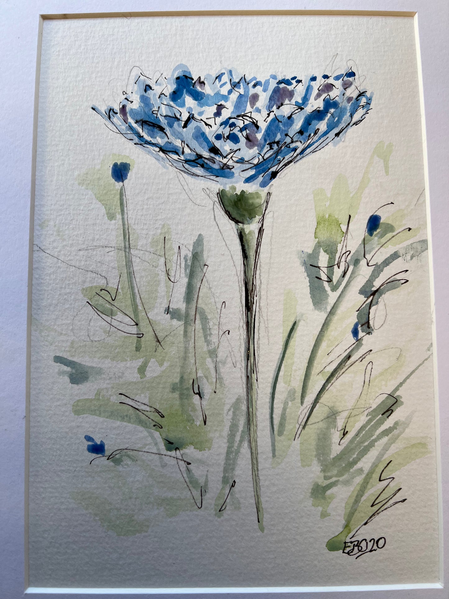 Cornflower - Pocket of Art Watercolour