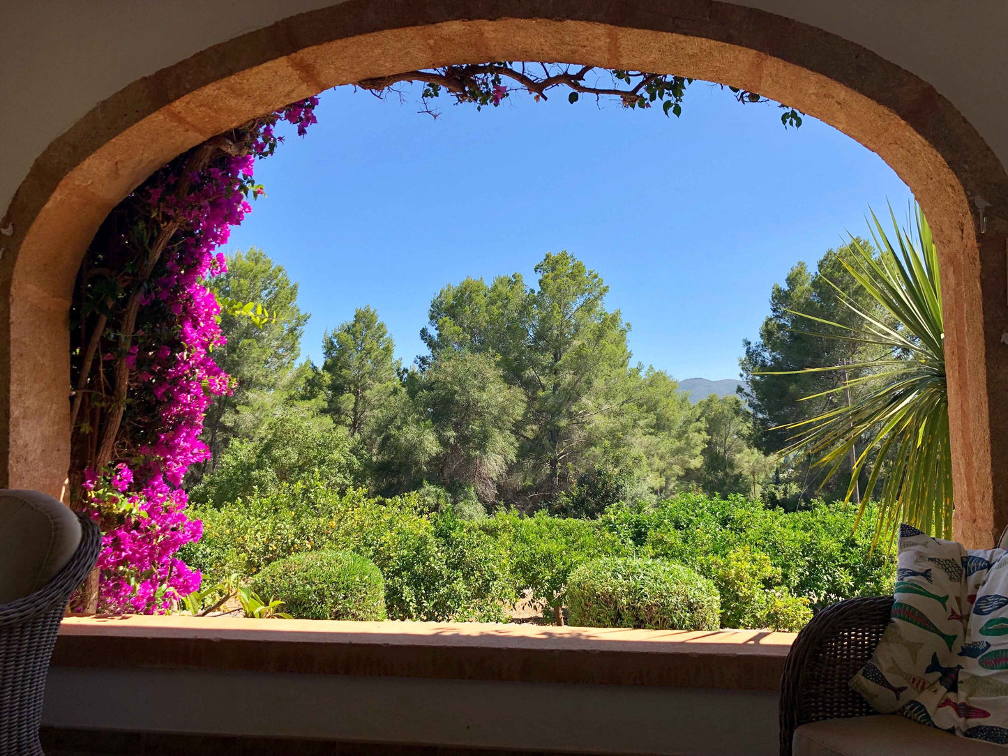 Room with a view