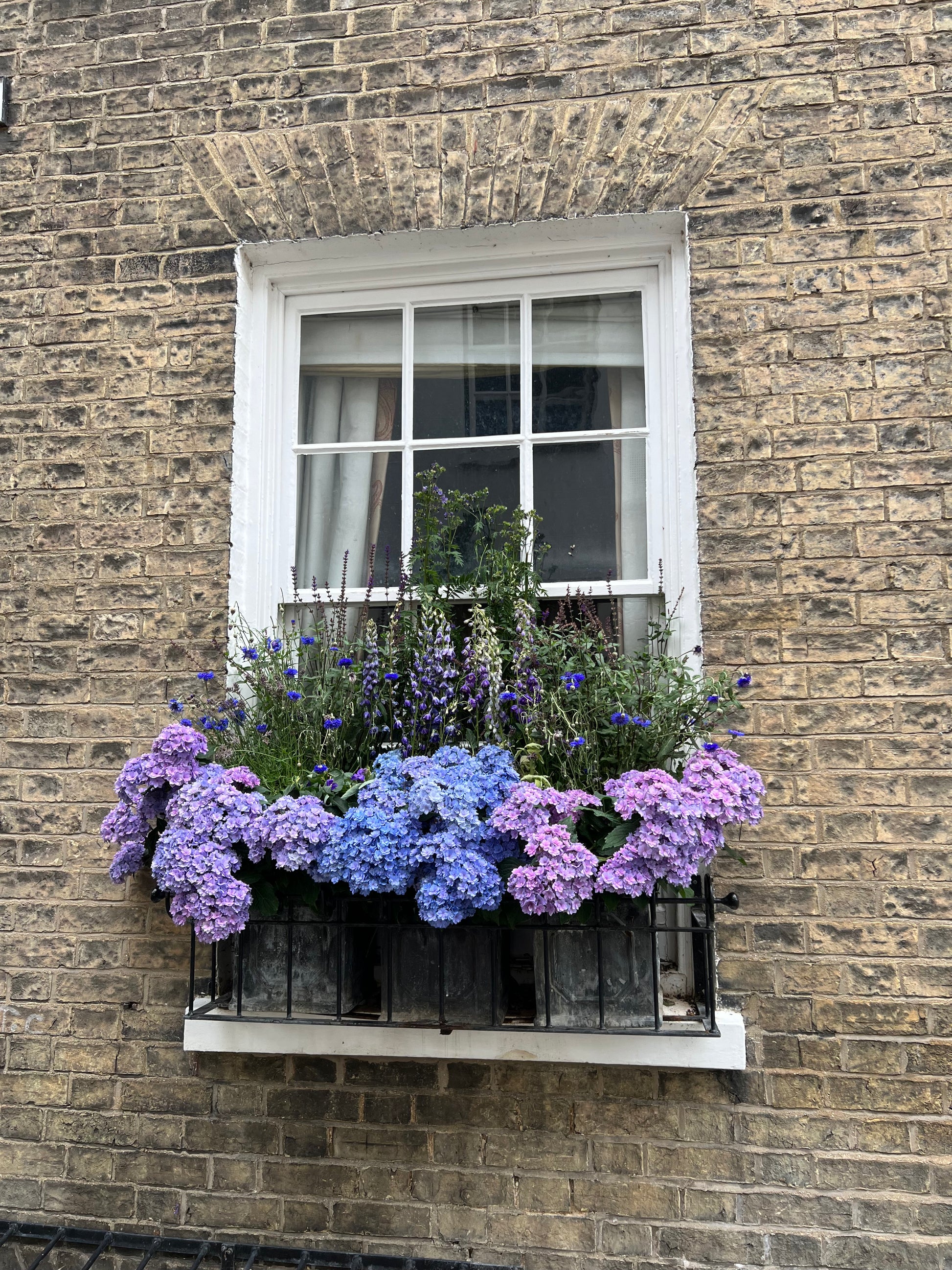 A Cambridge Window Box - Pocket of Art Watercolour