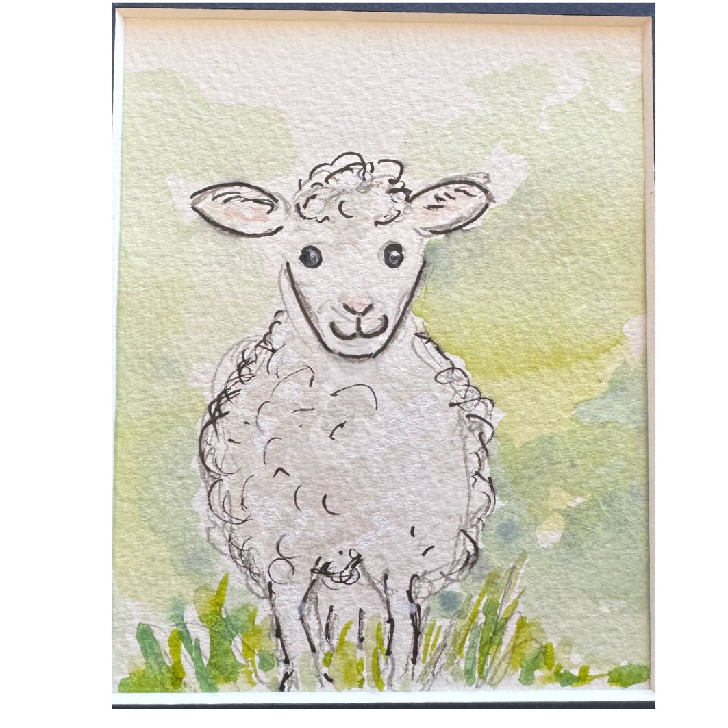 Illustrated Sheep Watercolour