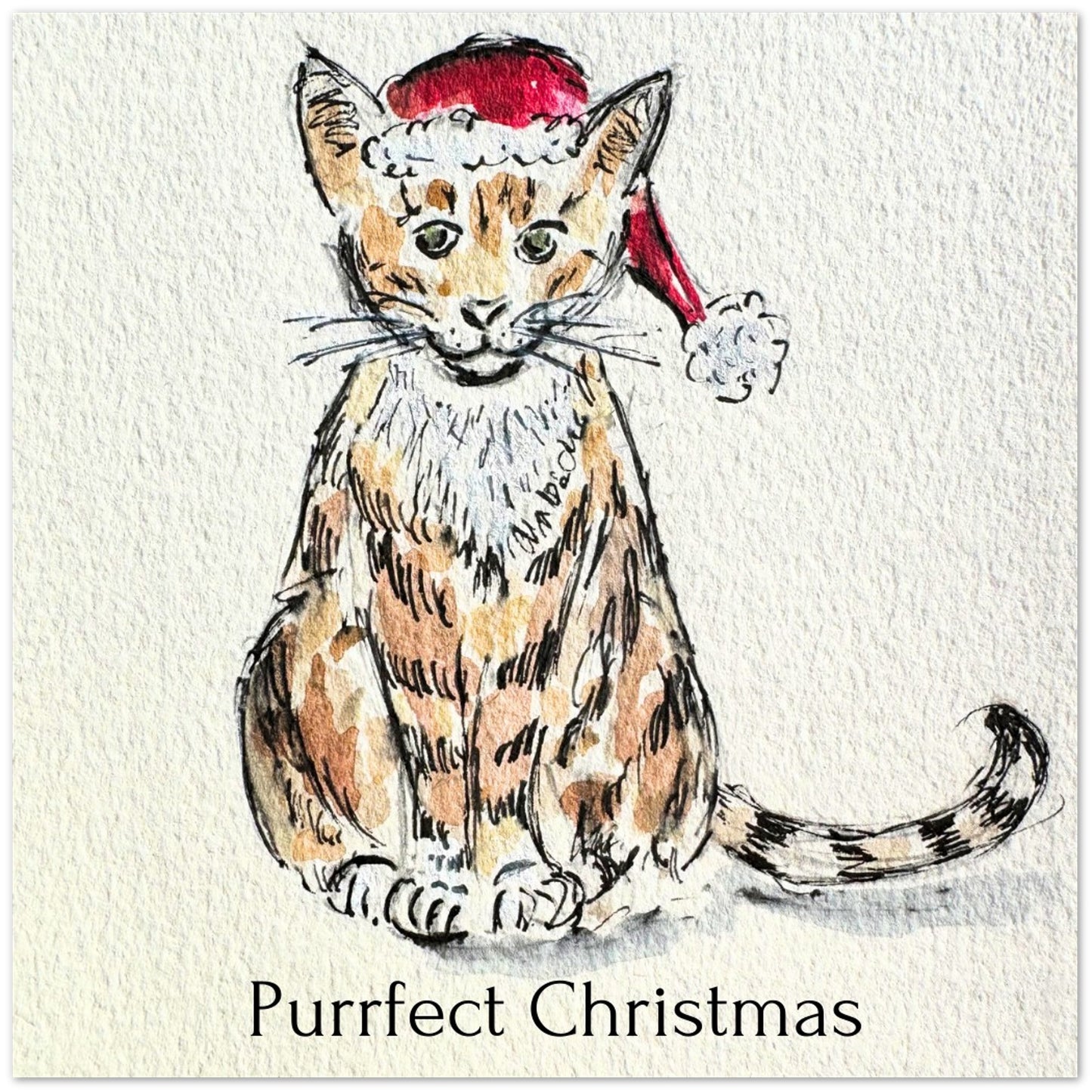 Christmas Cards - Pack of 10 - Purrfect - Pocket of Art Greetings Card