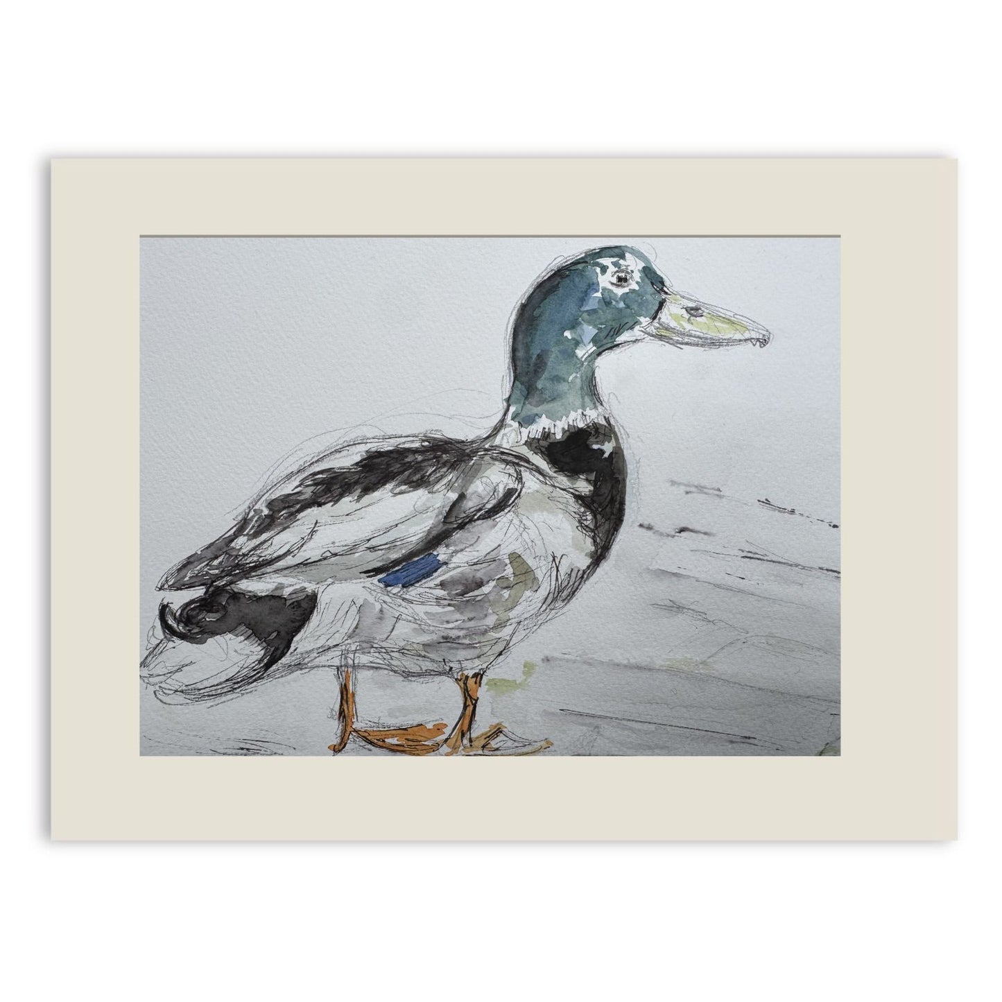 Duck the cobbles watercolour