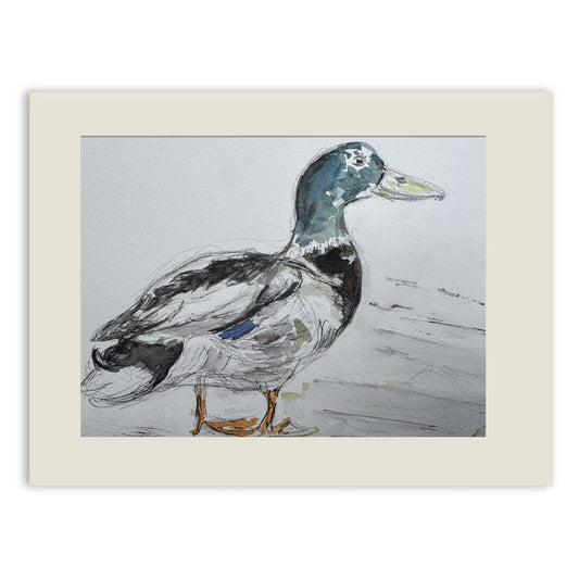 Duck the cobbles watercolour