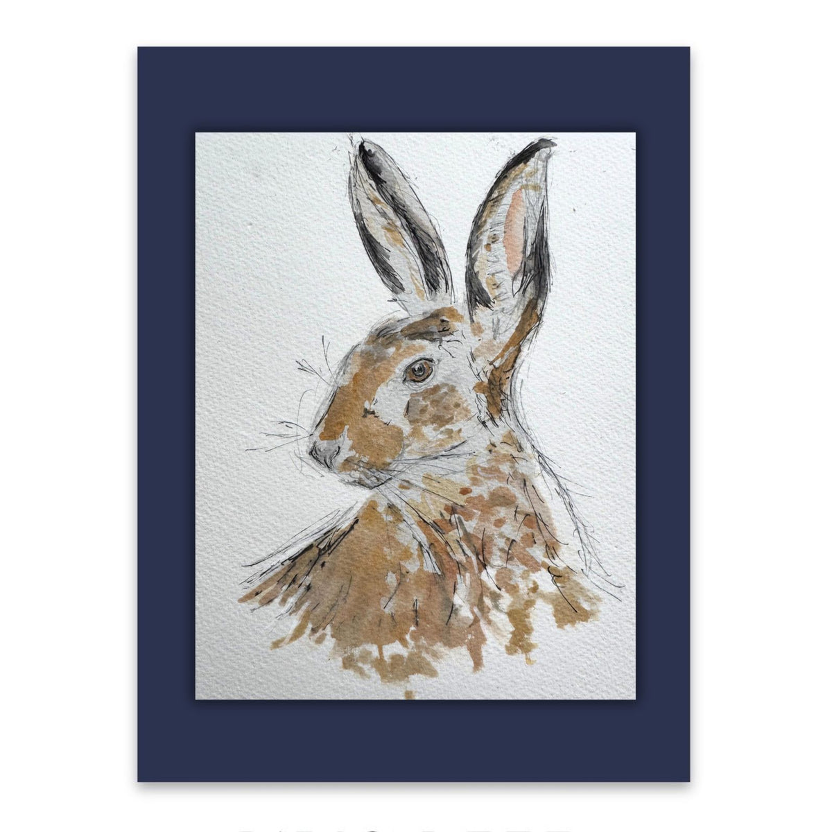 Black tipped hare watercolour
