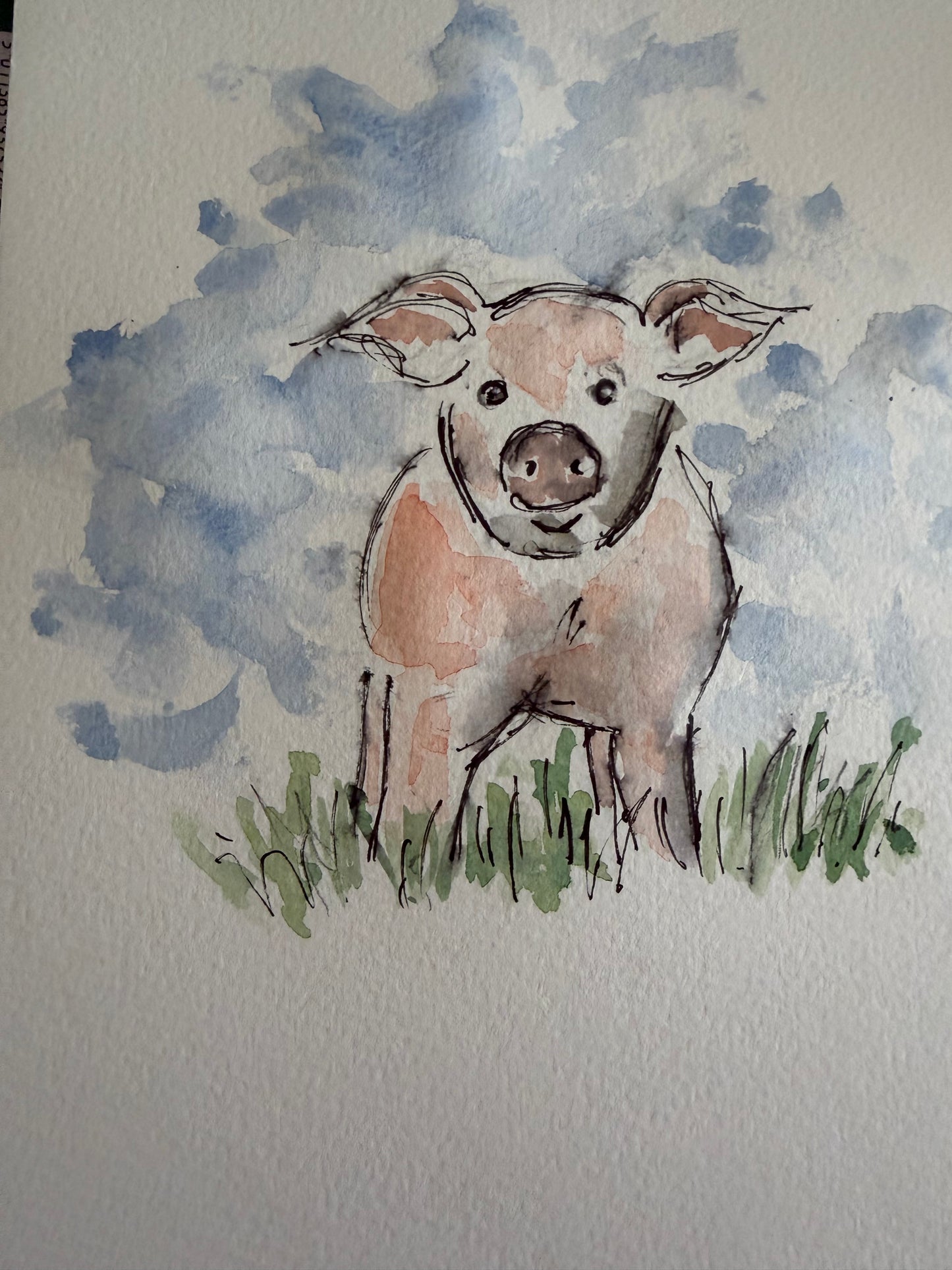 Illustrated Winged Eared Pig Watercolour