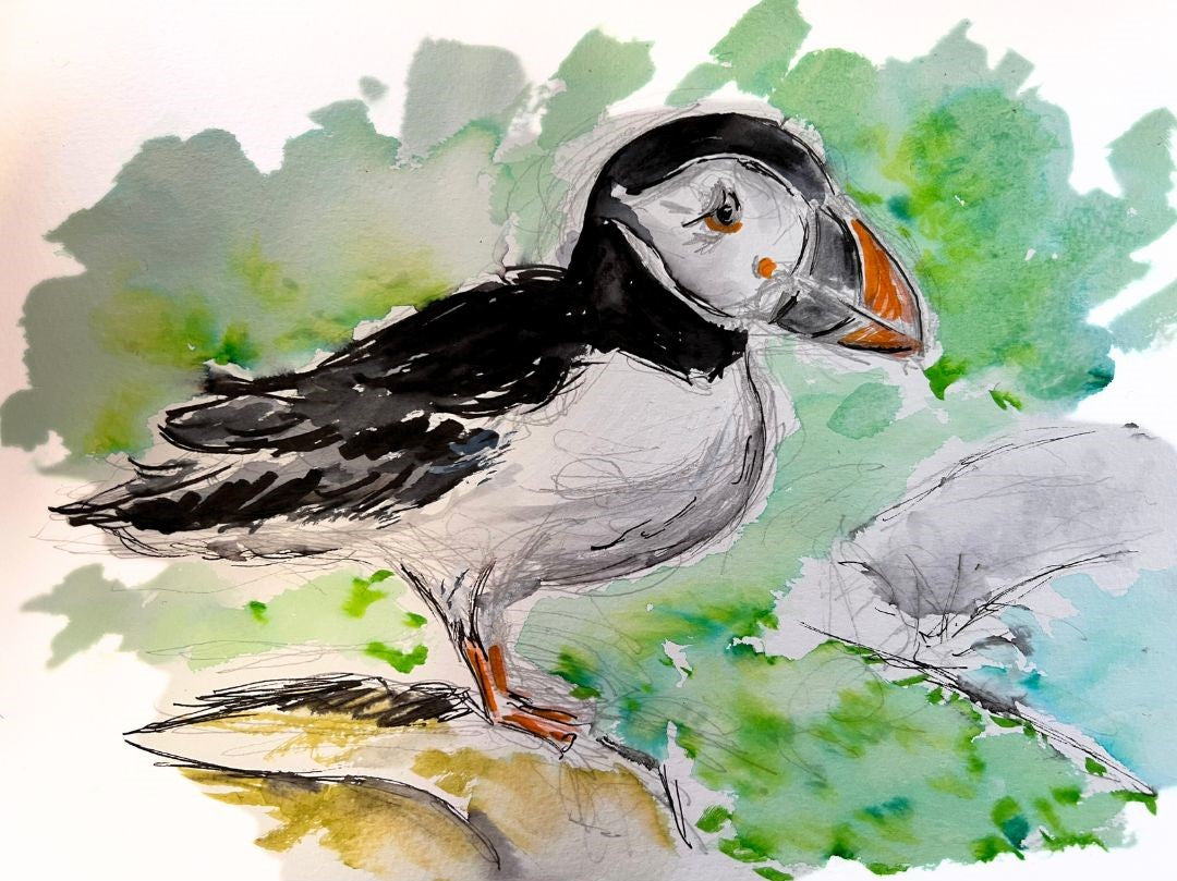 Puffin - Pocket of Art Watercolour