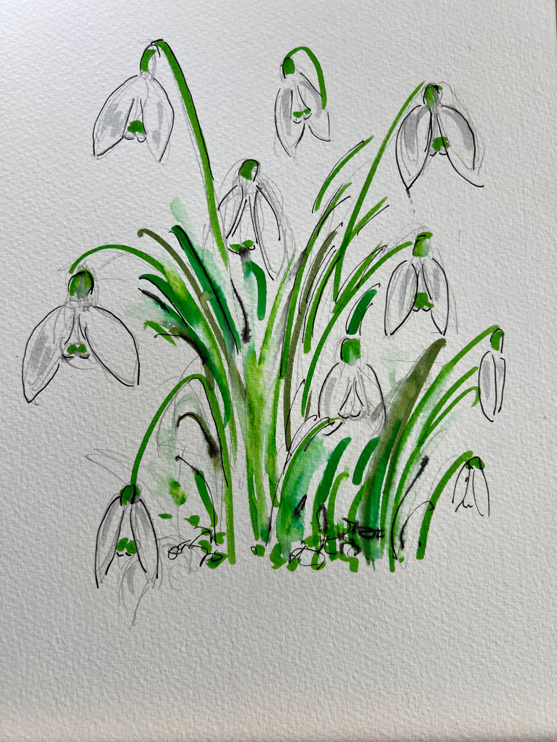 Snowdrops - Pocket of Art Watercolour