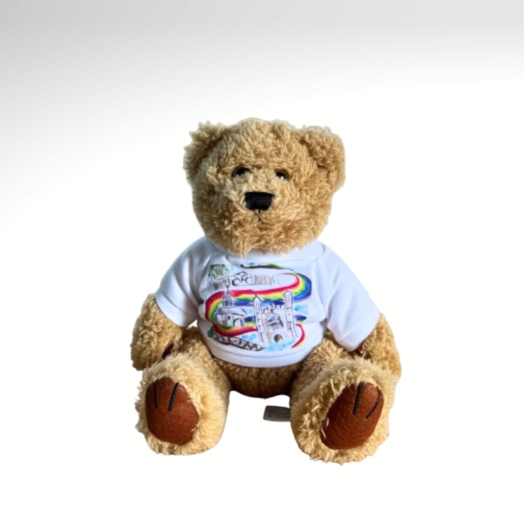Teddy with Rainbow T-Shirt