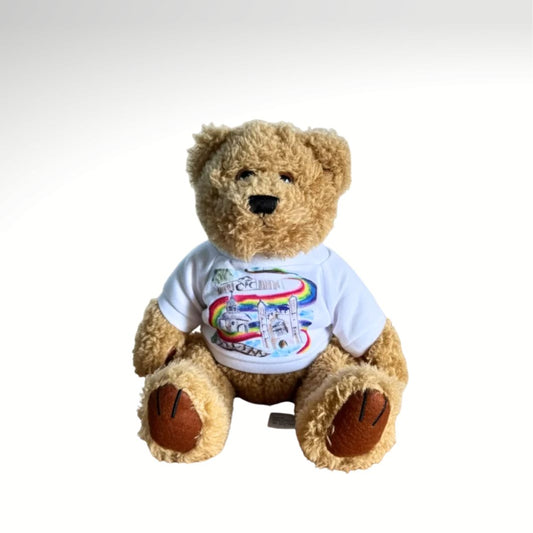 Teddy with Rainbow T-Shirt