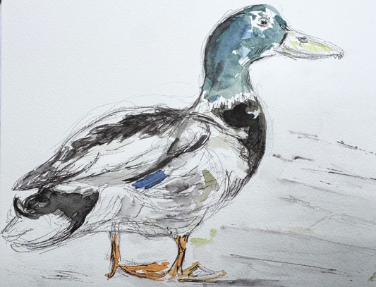 Derek the Duck