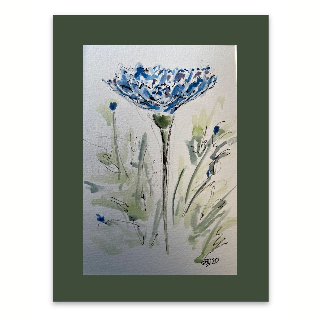 Cornflower