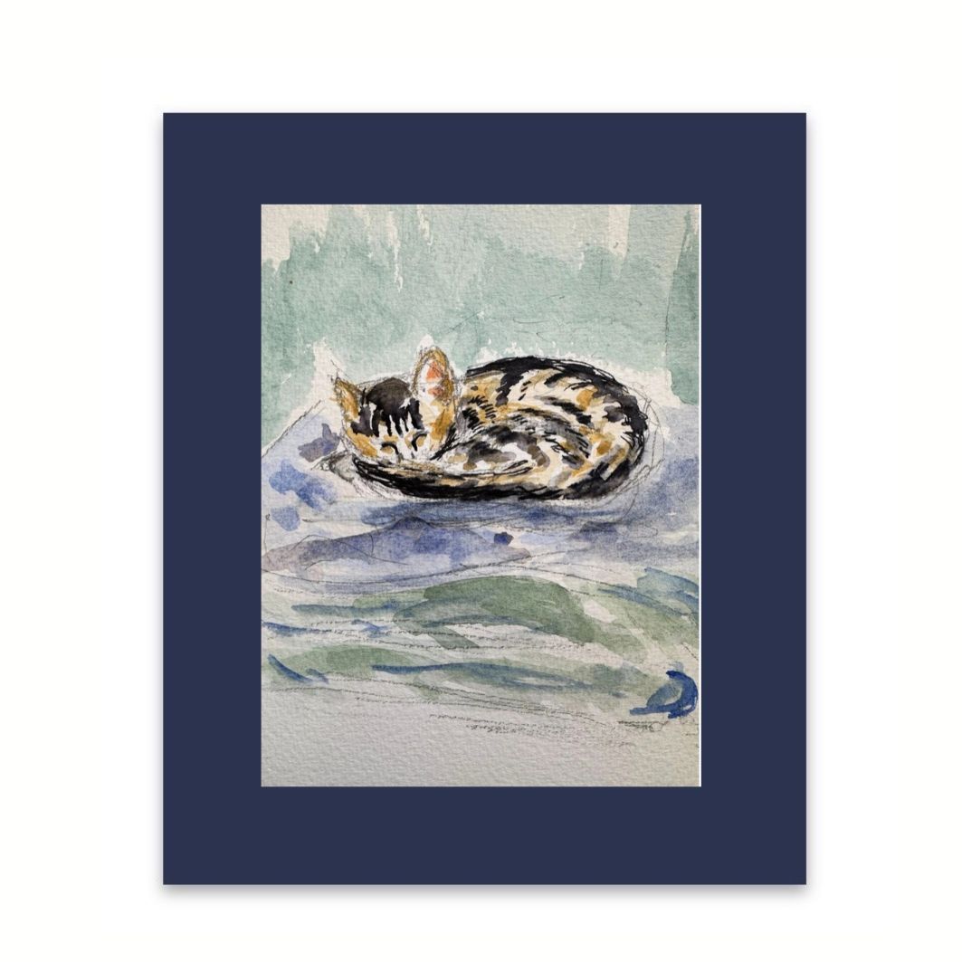 The curled up cat watercolour