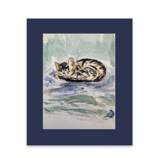 The curled up cat watercolour