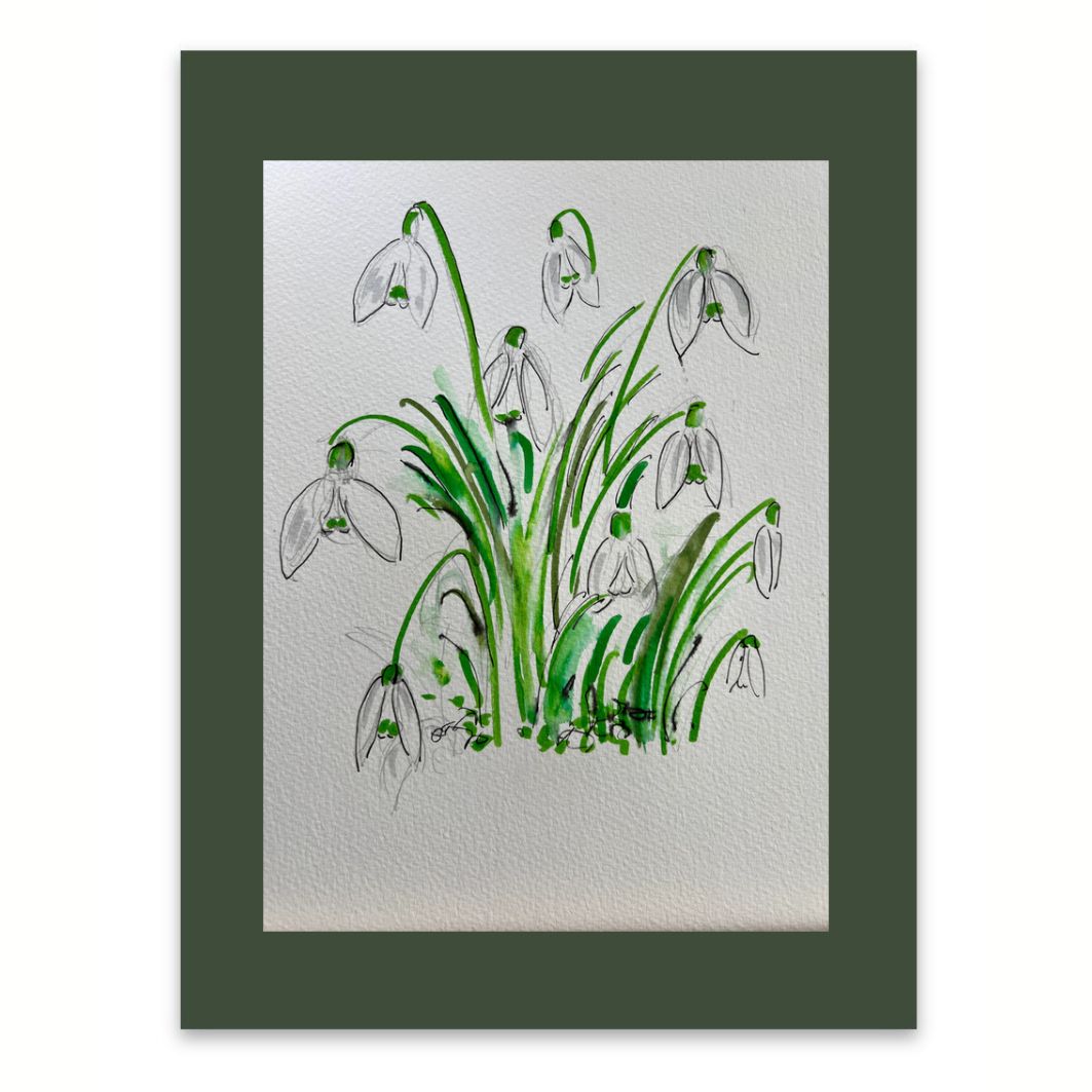 Snowdrops watercolour