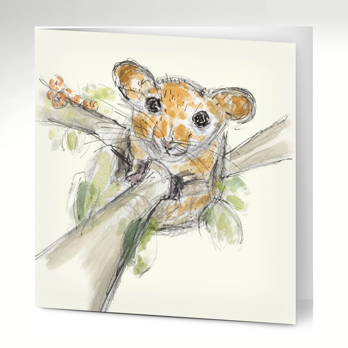 Cute Dormouse Greeting Cards (Pack of 10) with Envelopes