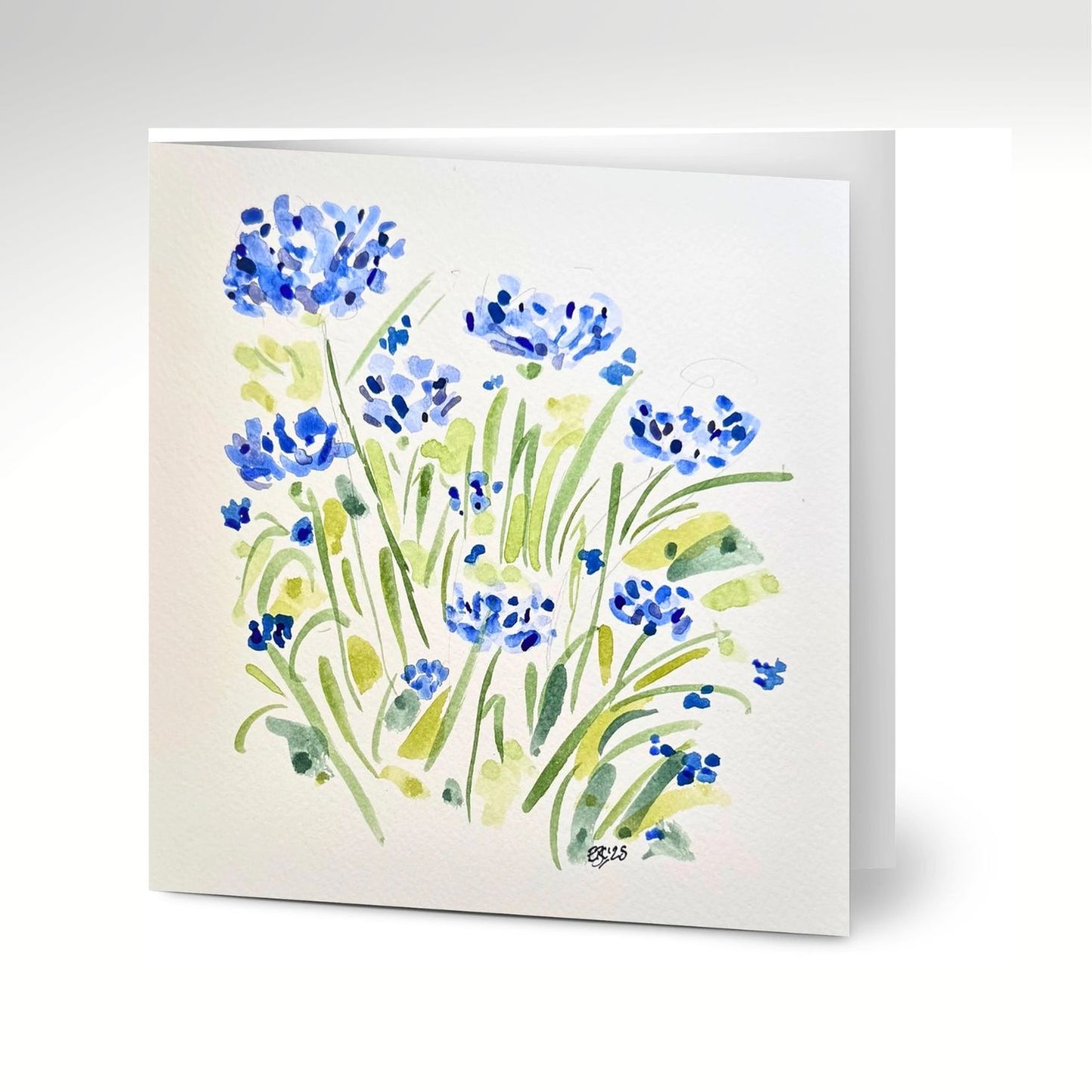 Wild Cornflowers Greeting Cards (Pack of 10) with Envelopes