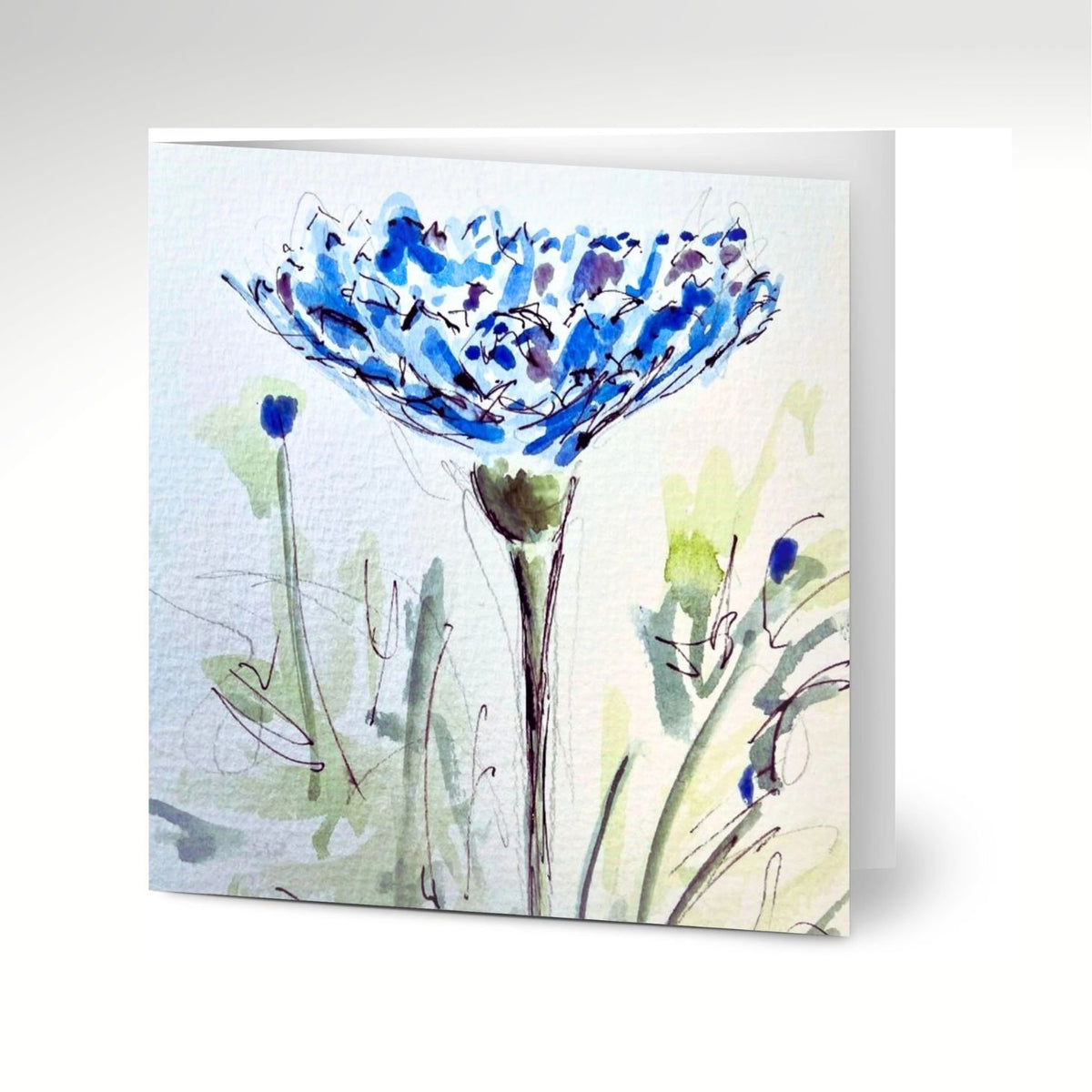Cornflower Greeting Cards x 10