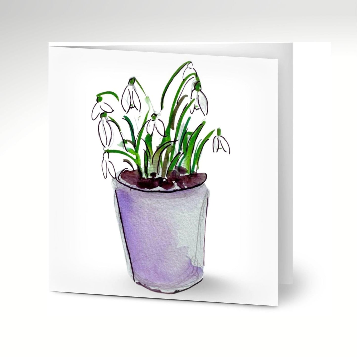 Snow Drops Greeting Cards x 10