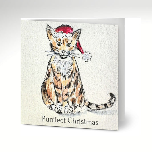 Purrfect Christmas Greetings Cards (Pack of 10) with Envelopes