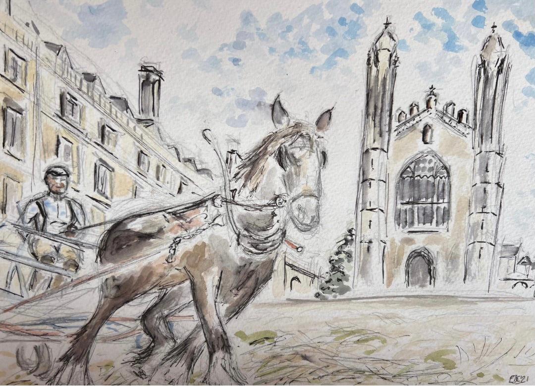 Shire Horse of Kings College, Cambridge