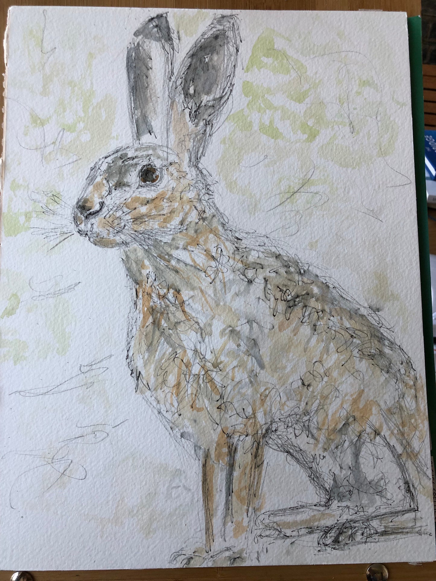 Hare in the wild - SOLD - Pocket of Art Watercolour