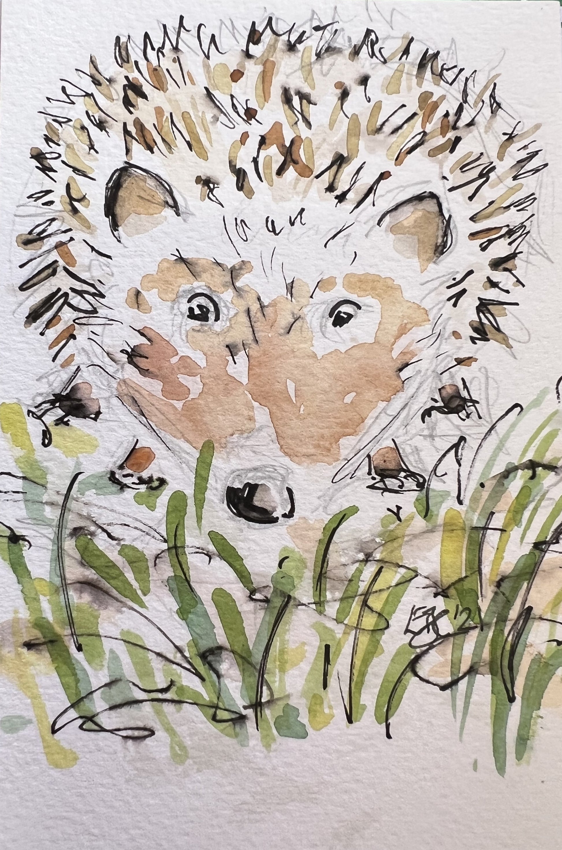 Holly Hedgehog - Pocket of Art Illustration