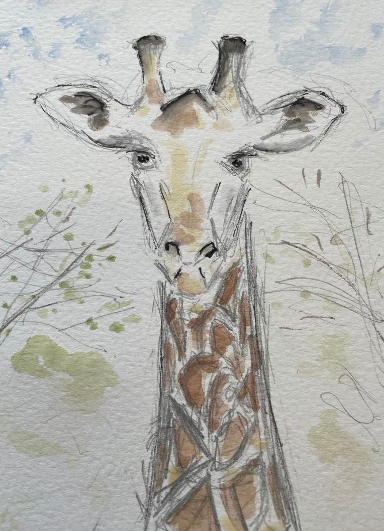 Jeffrey Girafe - Pocket of Art Illustration