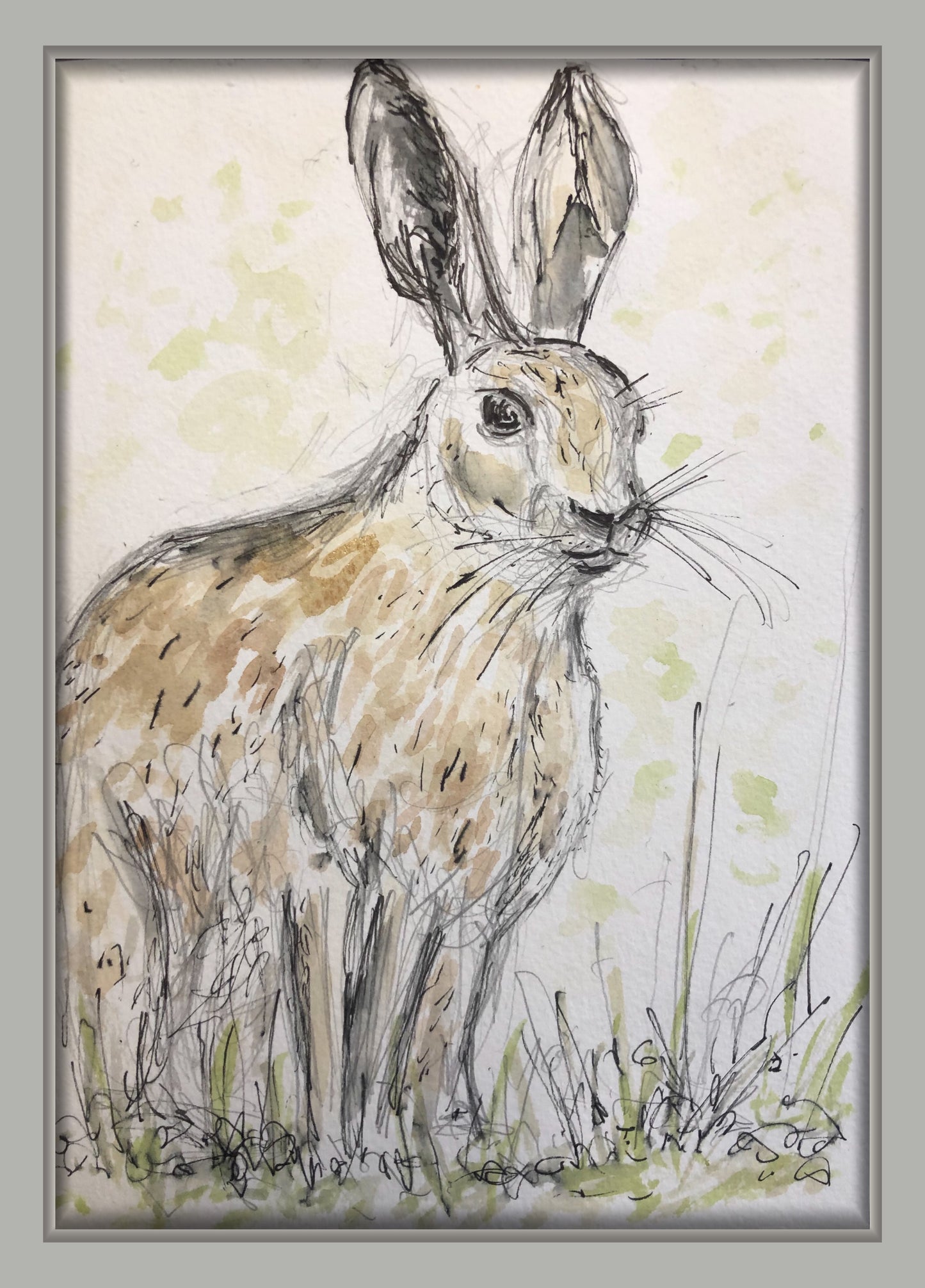 Long Eared Hare in the Wild - Pocket of Art Watercolour