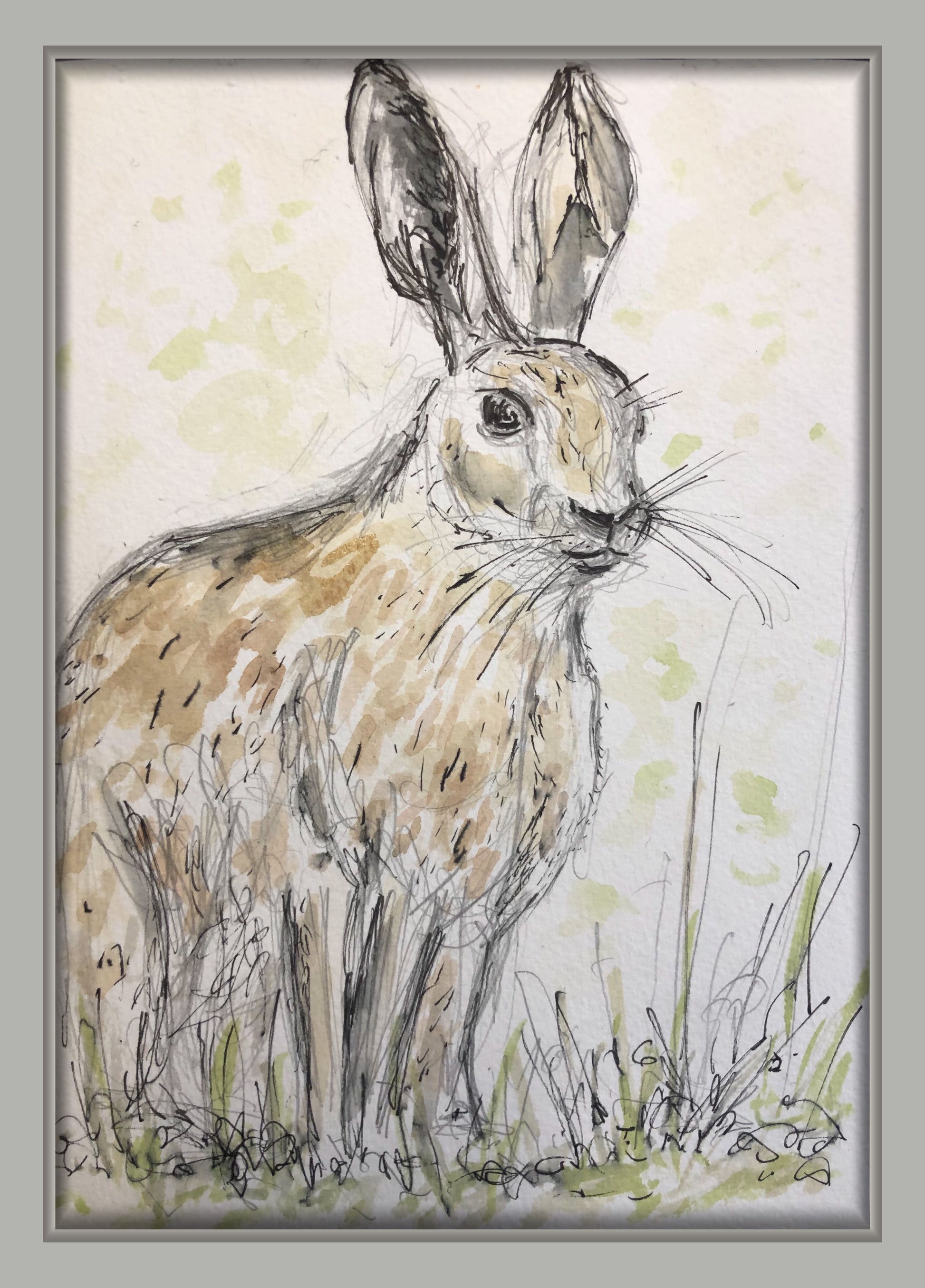 Long Eared Hare in the Wild - Pocket of Art Watercolour