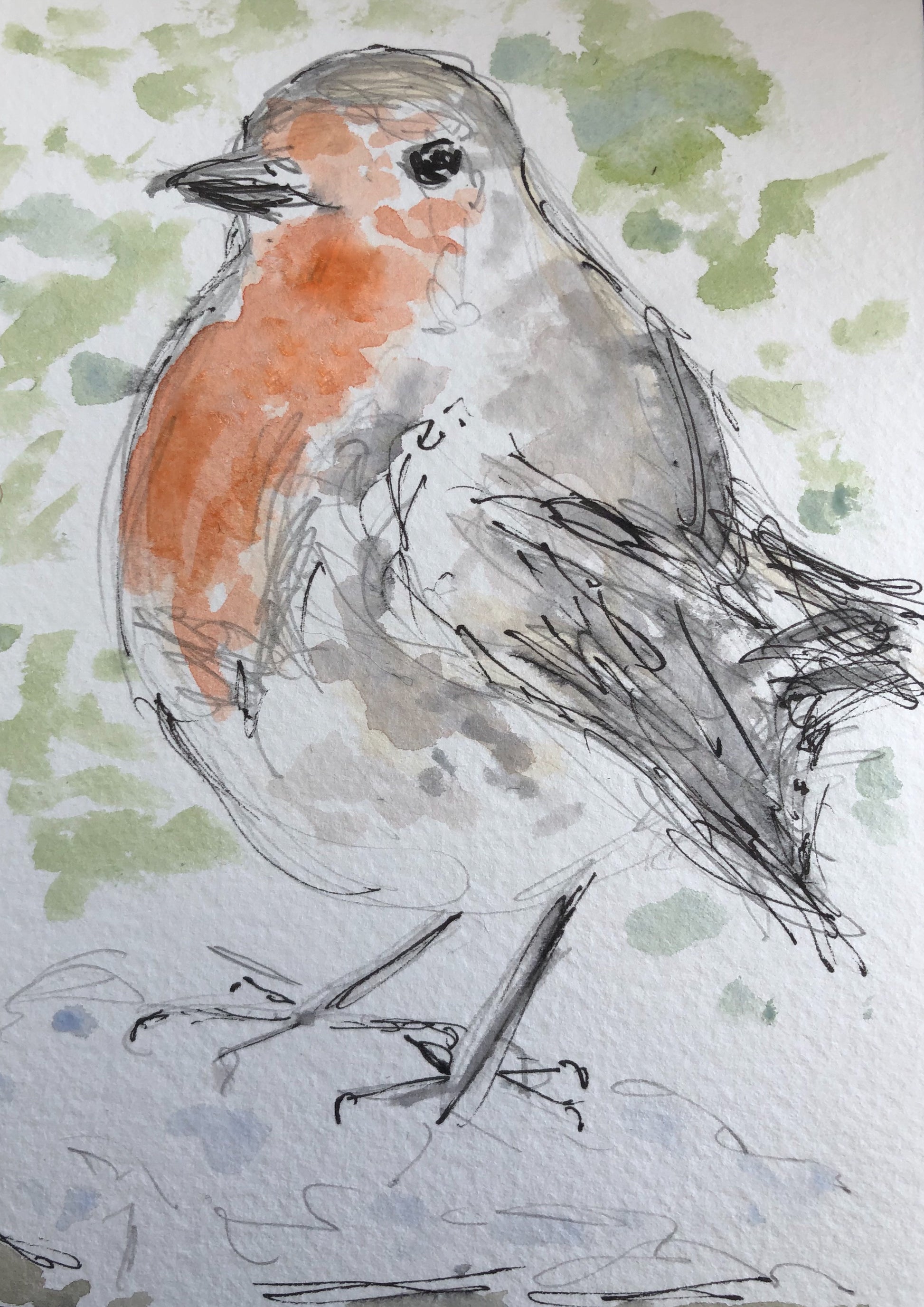 Robin Redbreast - Pocket of Art Watercolour