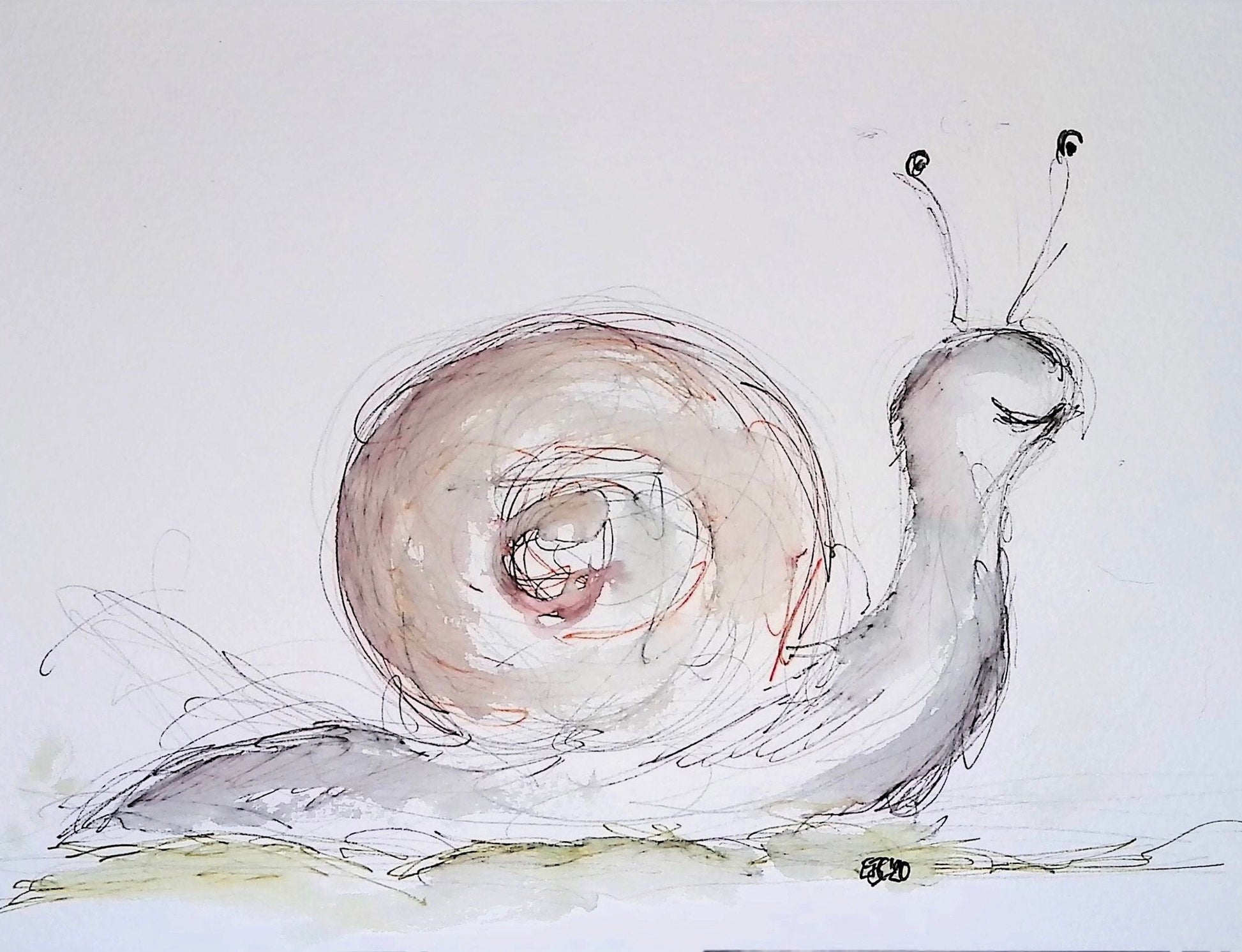 Sammy snail - Pocket of Art Illustration