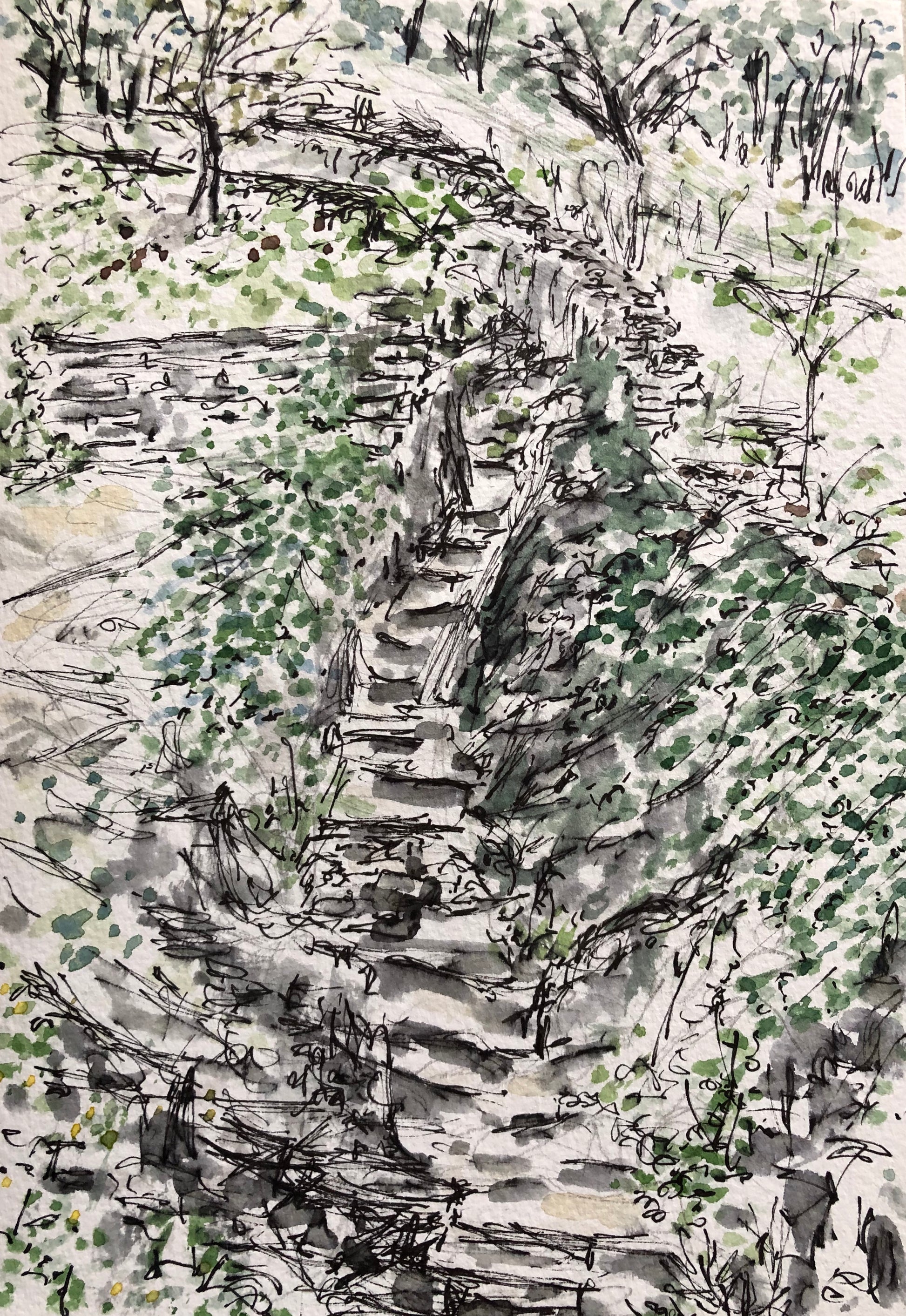 The Ravine on my Camino journey - Pocket of Art Illustration