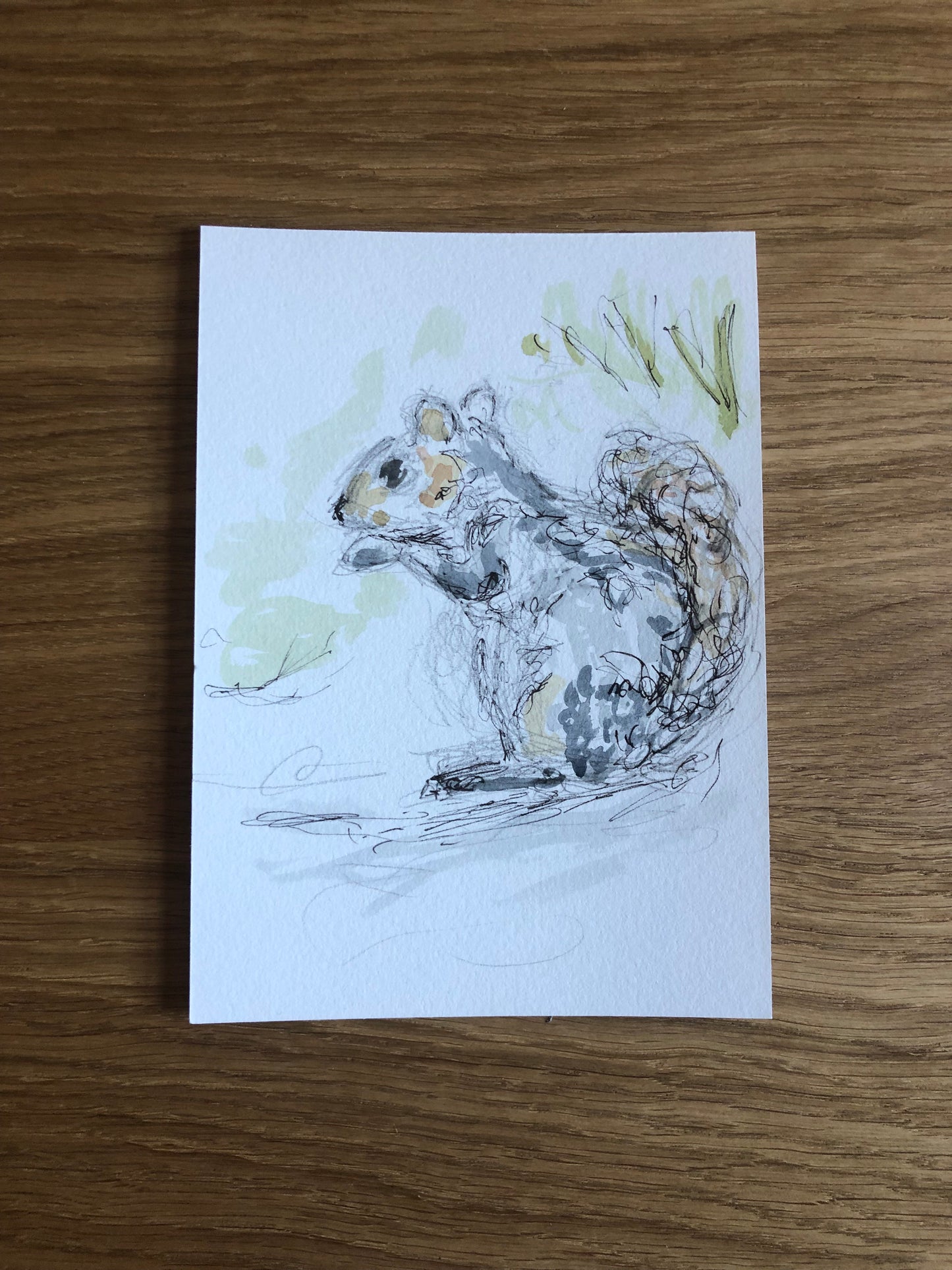 Squirrel in a winter's garden - SOLD