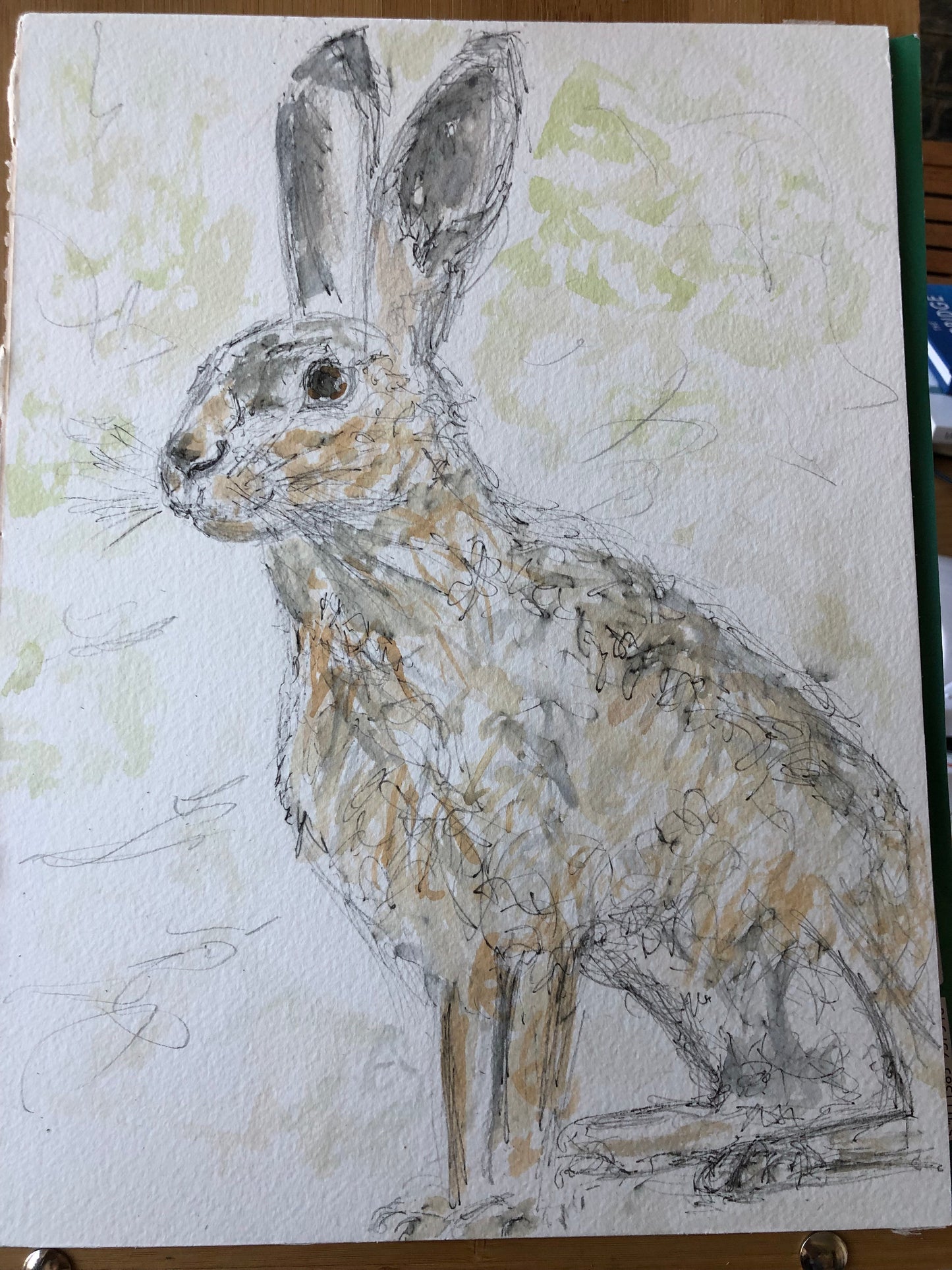 Hare in the wild - SOLD